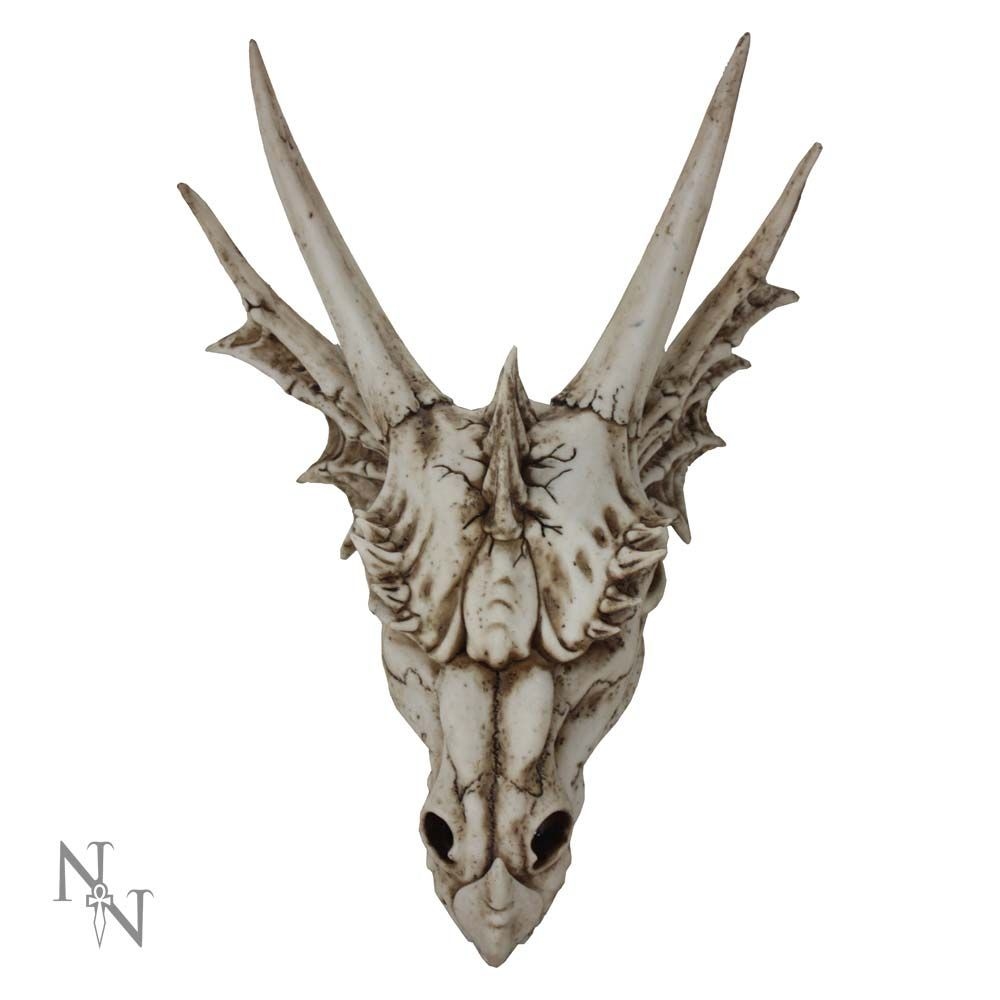 Nemesis Now - The Last Dragon Skull Décoration murale - Dragon - Crème